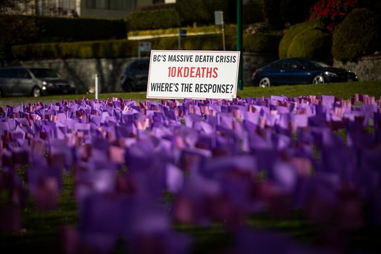 Purple flags on grassland, with a placard that reads 'BC's massive death crisis, 10K deaths, where's the response?'