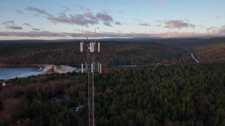 a cell phone tower towers over trees and forest. you can see the blue ocean in the back