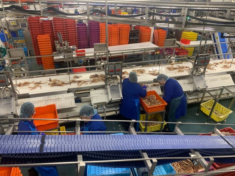 Four women work the line at a crab processing plant.