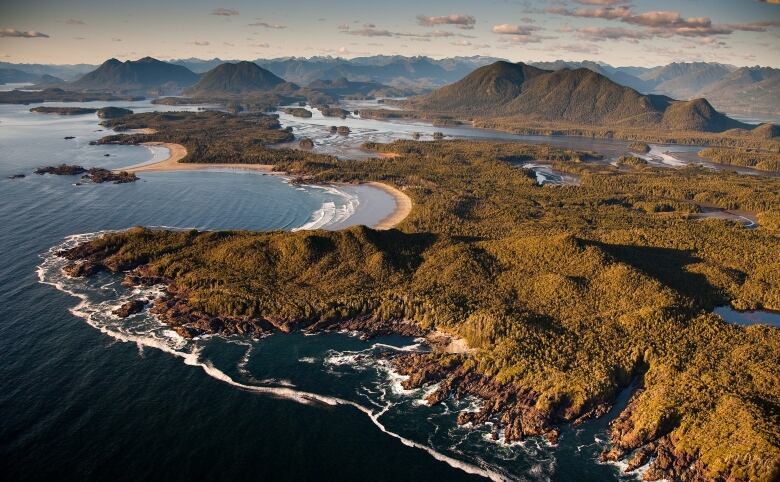 A stunning aerial view of a sandy bay with dark waters surrounded by verdant, green hillsides.