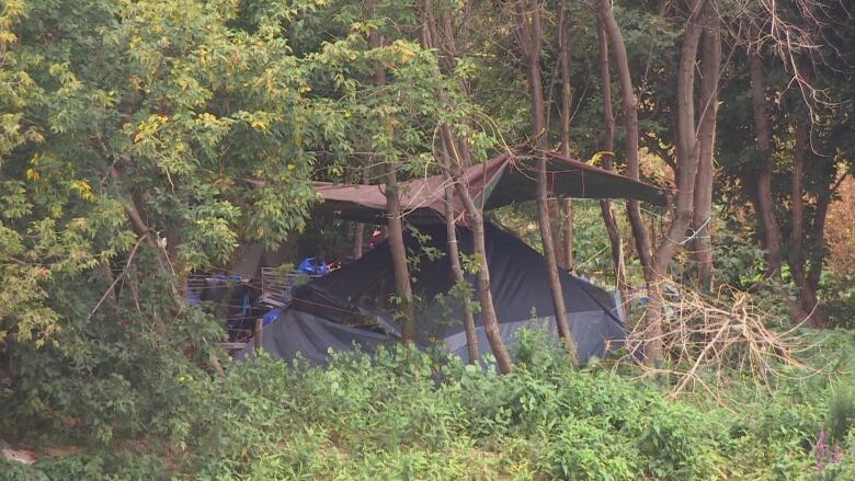 A tent can be seen hidden behind some bushes and trees.