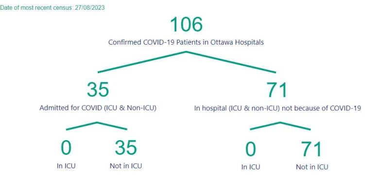 A chart showing the number of people in Ottawa hospitals with COVID.