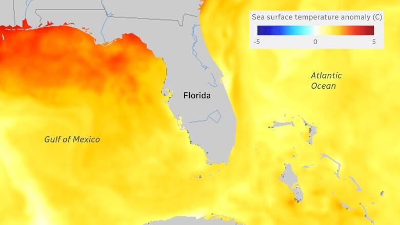 An illustration of Florida shows the sea surface temperature anomalies in the Gulf of Mexico and in the Atlantic Ocean with red indicating an anomaly of near two to three degrees Celsius.