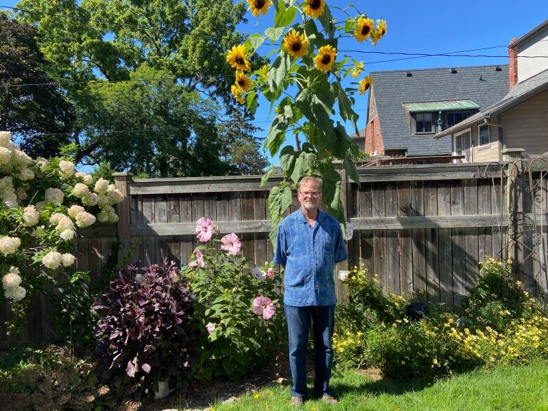 David Galick standing in front of his sunflower. It is about 6 ft tall, and his sunflower is about 13 ft tall 