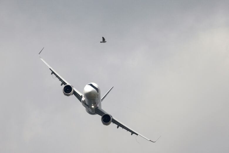 An airbus A321 XLR flying in the sky at the Paris air show, with a bird also seen.