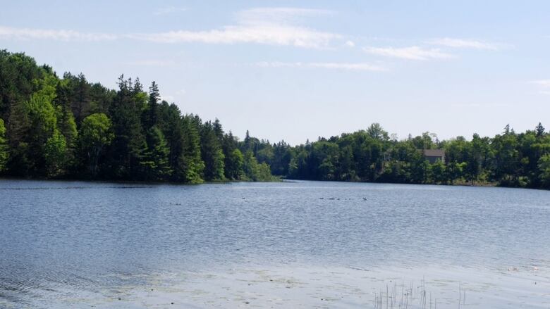 A scenic photo of Blacketts Lake in Cape Breton.