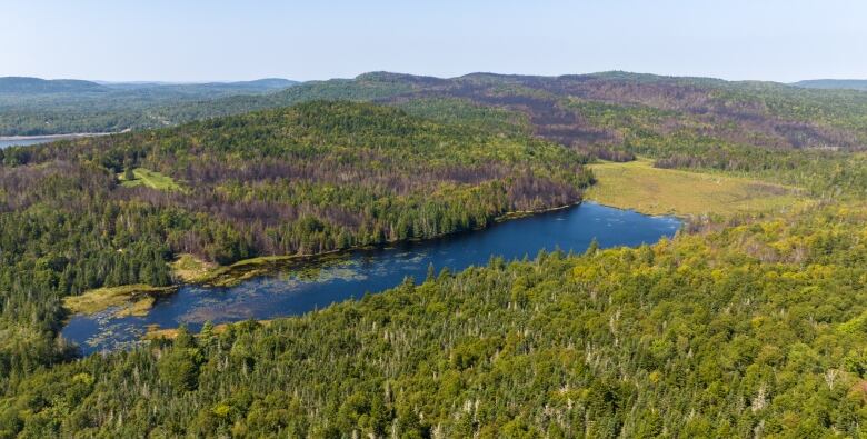 A lake in the foreground with blacked forest in the background. 