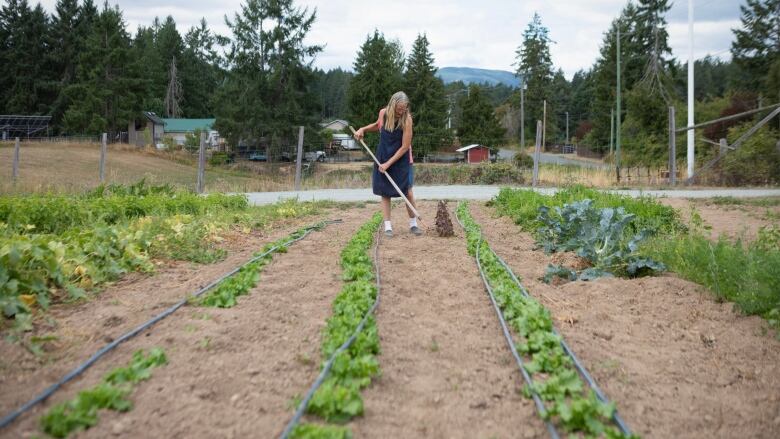 A woman tends to her crops.