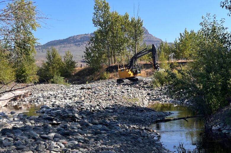 An excavator sits on the edge of a small creek.