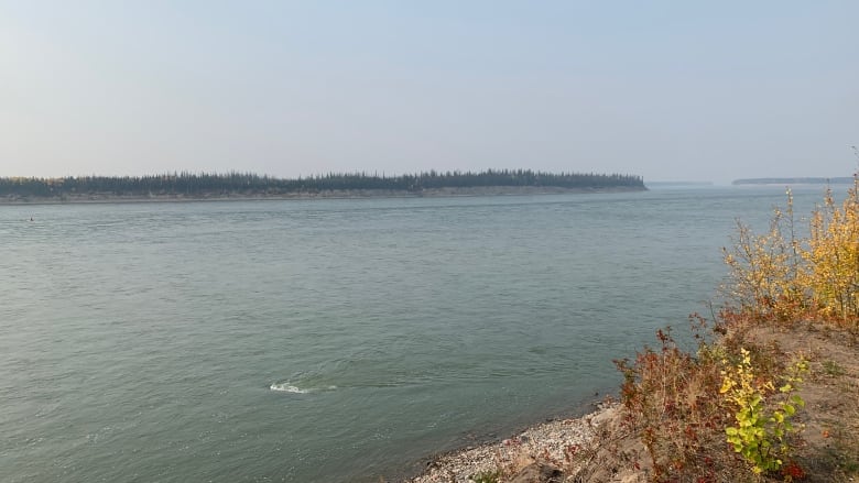 A wide river is seen beside brush.