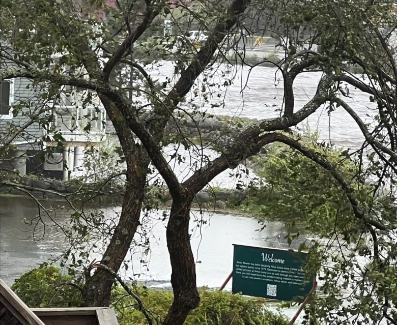 House on the shore with waters rising around it.