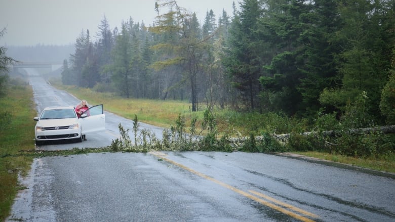 A small white call stopped on the wrong side o the road because a tree has fallen directly across the road. A woman is standing by the vehicle.