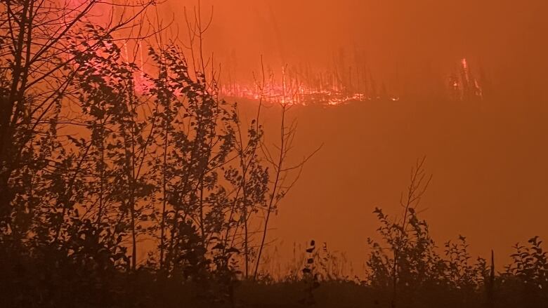 A wildfire is seen from afar, in the dark.