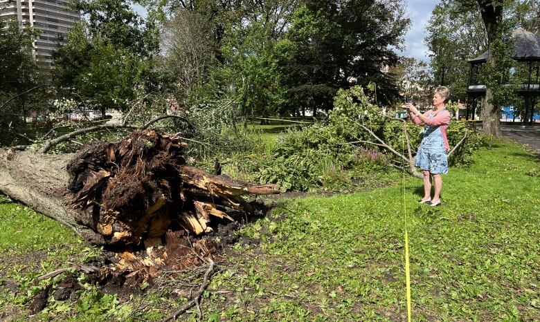 Woman uses a camera to take pictures of a large tree lying on the ground.