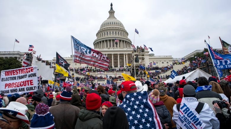 A wide shot of hundreds of demonstrators with signs and flags on the grounds of the U.S. Capitol is shown.