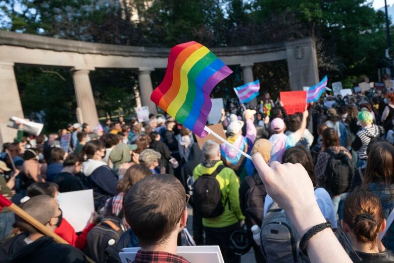 Protesters wave Pride and trans flags.