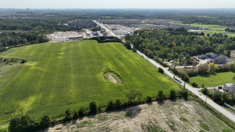 A swath of green land with trees, some homes and a road.