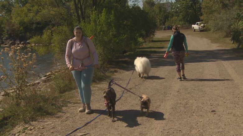 Woman walks on a waterfront trail with two dogs.