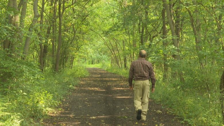 A man walks away from the camera under a canopy of trees in a forested area on a summer day.