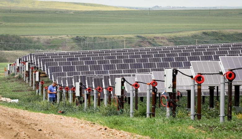 Solar panels in a field