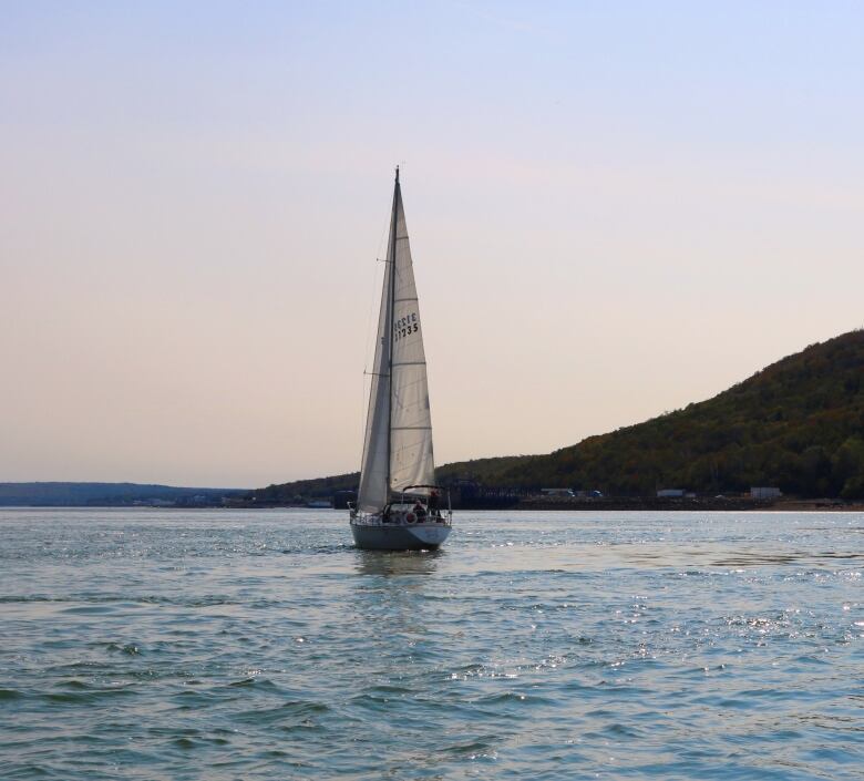 A sailboat cruises close to land in Nova Scotia. 