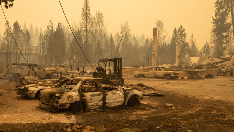 A barren landscape shows the shells of burned-out cars under a dull orange sky.