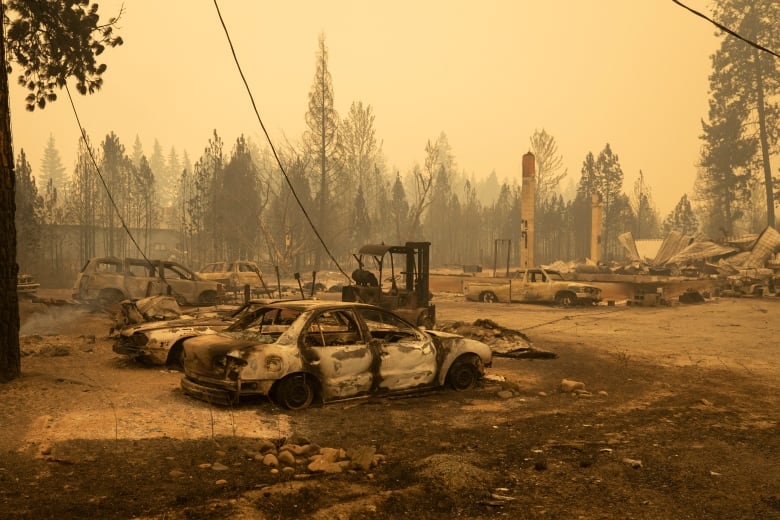 A barren landscape shows the shells of burned-out cars under a dull orange sky.