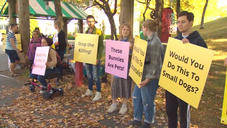 People stand in a park holding signs that say 