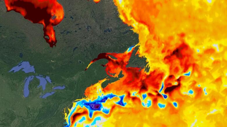 A map of the North Atlantic shows a gradiant of blue, red, orange and yellow, indicating how warm or cold sea surface temperatures are compared to the average.