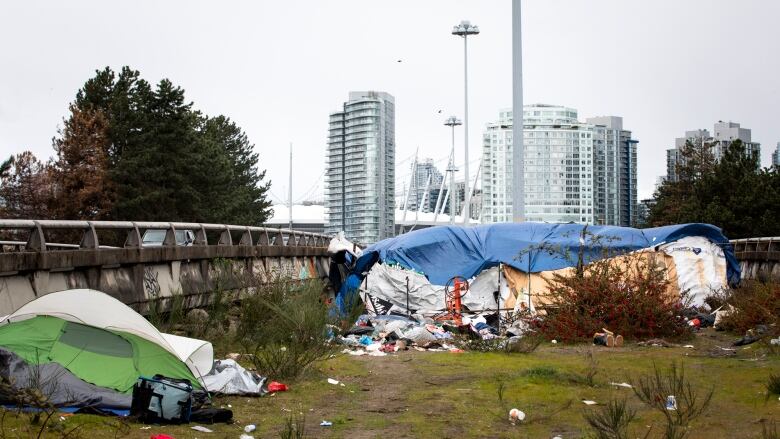 Tents are shown set up next to a highway overpass.