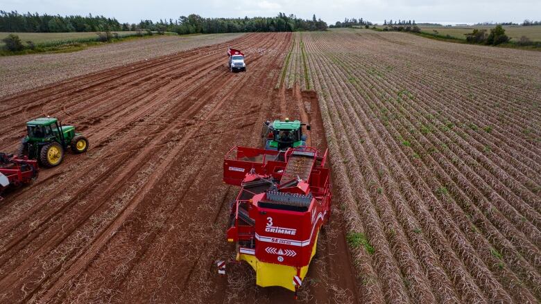 Tractors and bins work to harvest potatoes on an overcast fall day. The left half of  the field has been harvested, while the machines work their way towards the right,