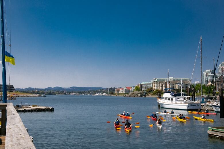 Kayakers are seen in a marina with boats and city buildings in the background.