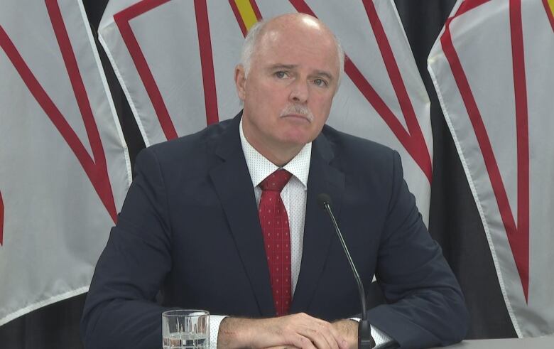 A man in a dark suit with a white shirt and red tie sits in front of a row of Newfoundland and Labrador flags.