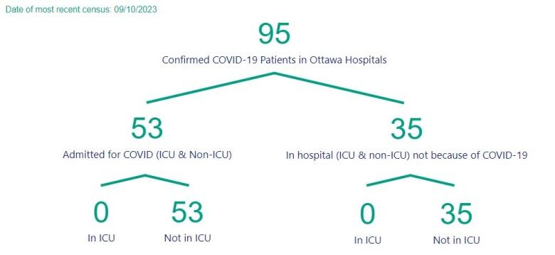 A chart showing the number of people in Ottawa hospitals with COVID.