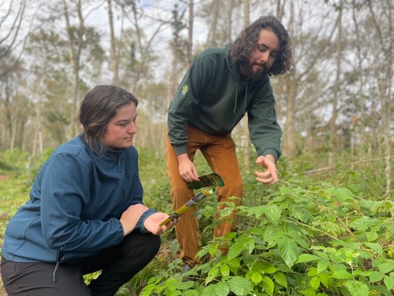 A woman is crouching in the woods looking at a beetle that a man is pointing to. 