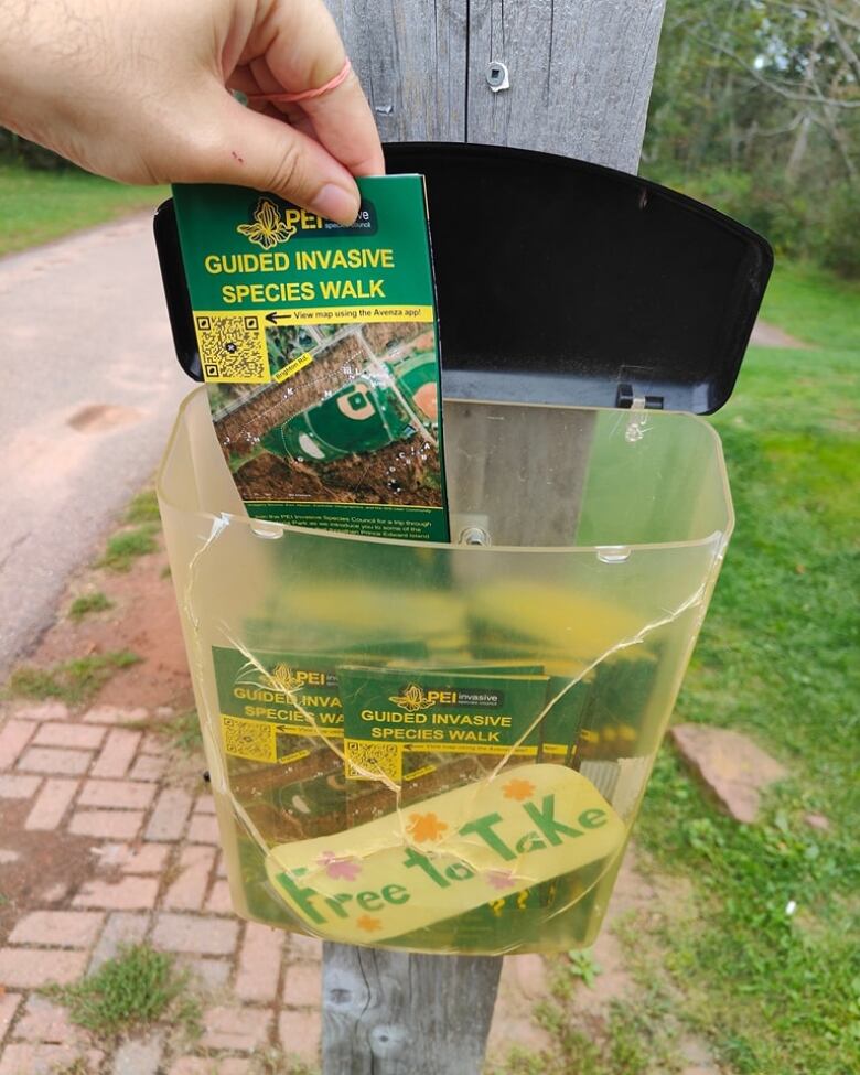 A brochure being pulled out of a plastic bin attached to a post 