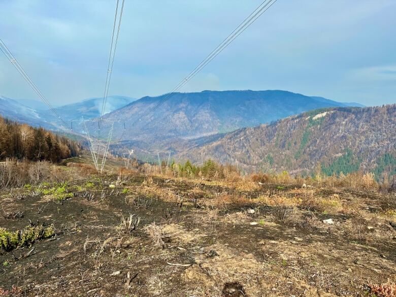 A large mountainous swath of land burned, with power lines overhead.