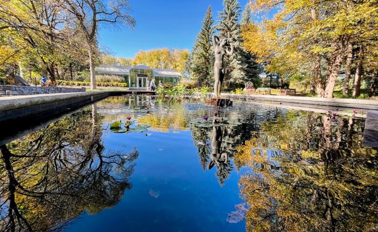 A lily pond reflects the trees around it in a park.