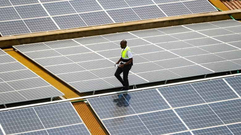 A solar technician walks through solar panels.