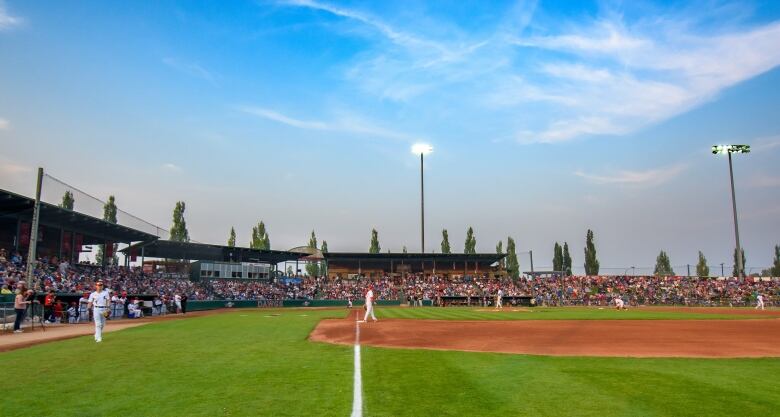 A baseball team is pictured on a field.