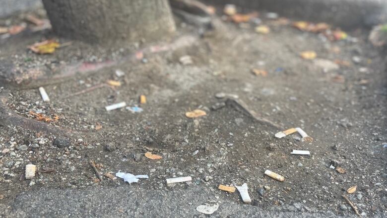 Discarded cigarette butts in a tree well pictured in downtown Vancouver in October 2023.