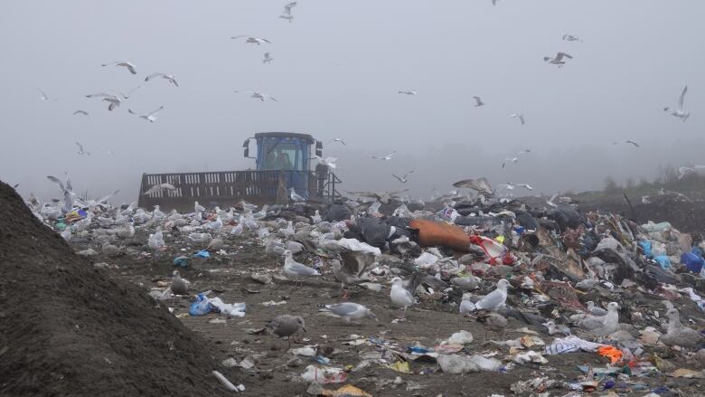 Picture of a landfill.