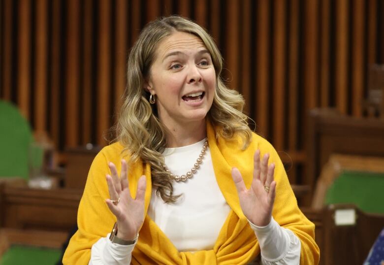 A politician raises her hands as she speaks in a legislature.