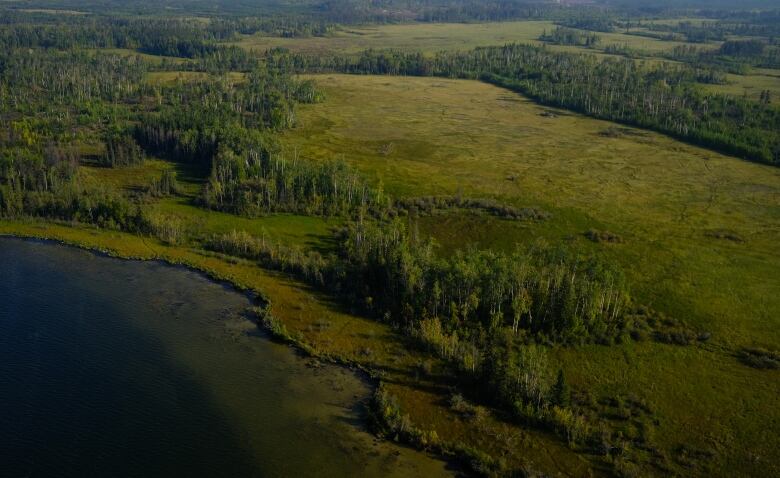 The McClelland Lake and its surrounding fen.