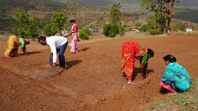 Farmers in the Nashik region of Maharashtra prepare their soil to plant millet seeds. 