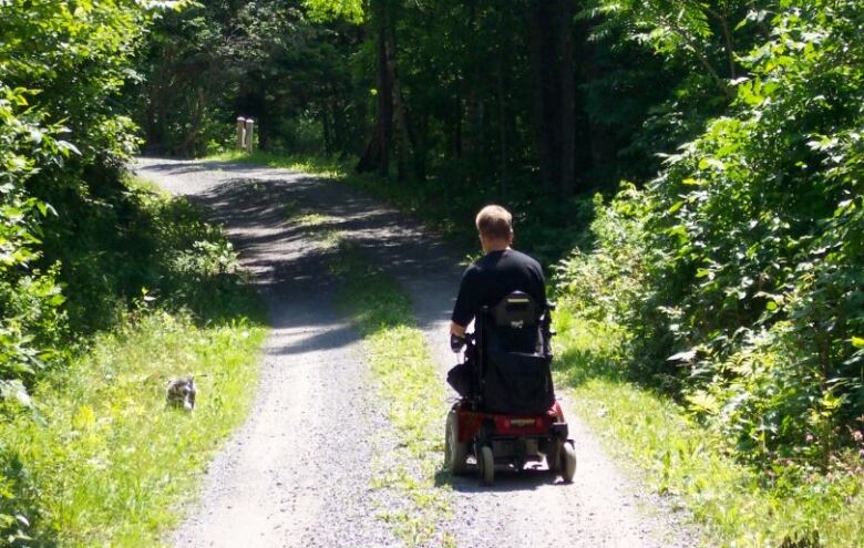 From behind, we see a man in a wheelchair on a wooden trail, with a leashed dog sniffing the grass along the trail.