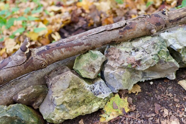 A log stacked on top of rocks