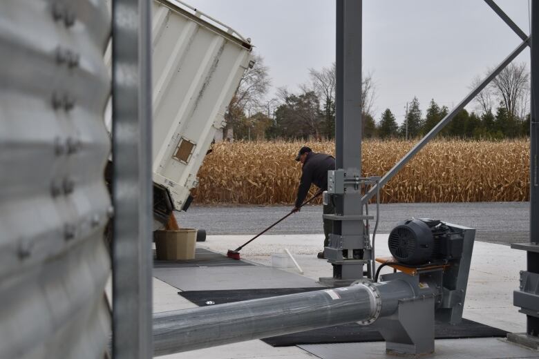 A man sweeps soybeans into a grate.