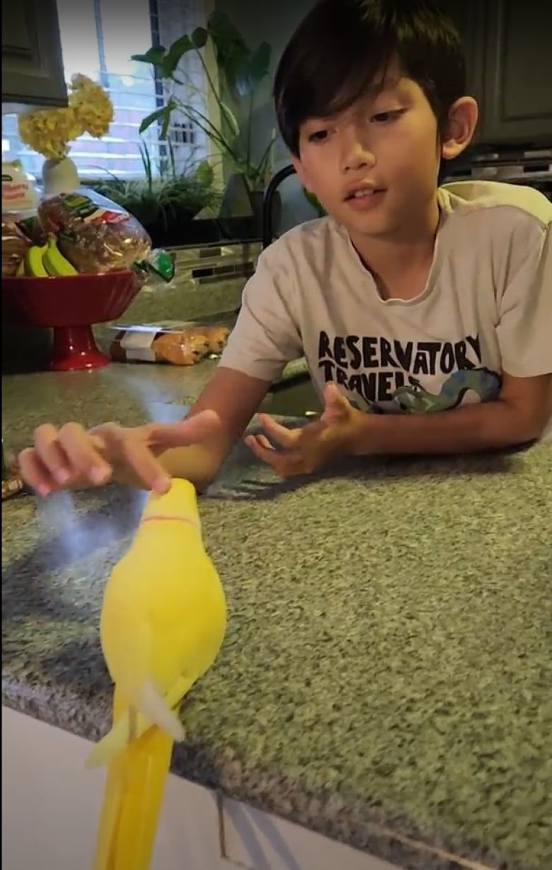 A young boy pats a yellow bird that is perched on a kitchen counter.