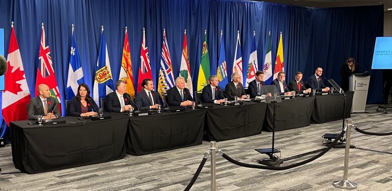 A group of people sit at a long table with provincial flags behind them.